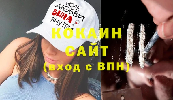 apvp Алексин