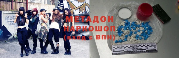 сатива Корсаков