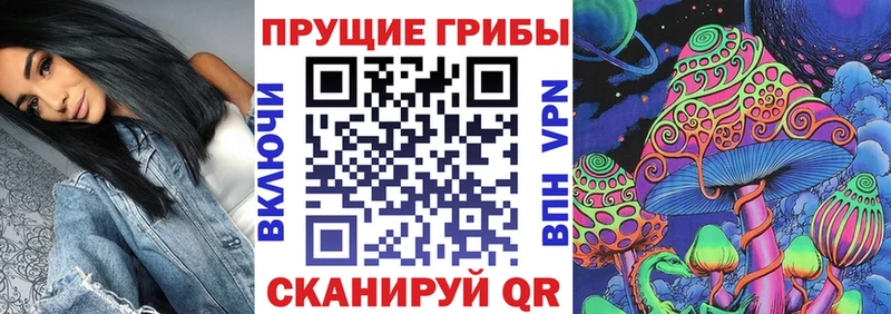 гидра зеркало  площадка какой сайт  Галлюциногенные грибы прущие грибы  где можно купить наркотик  Мышкин 